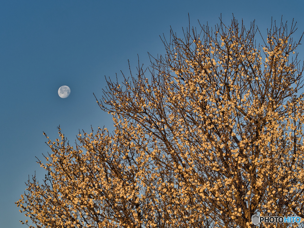 2021-01-31_風景(6)