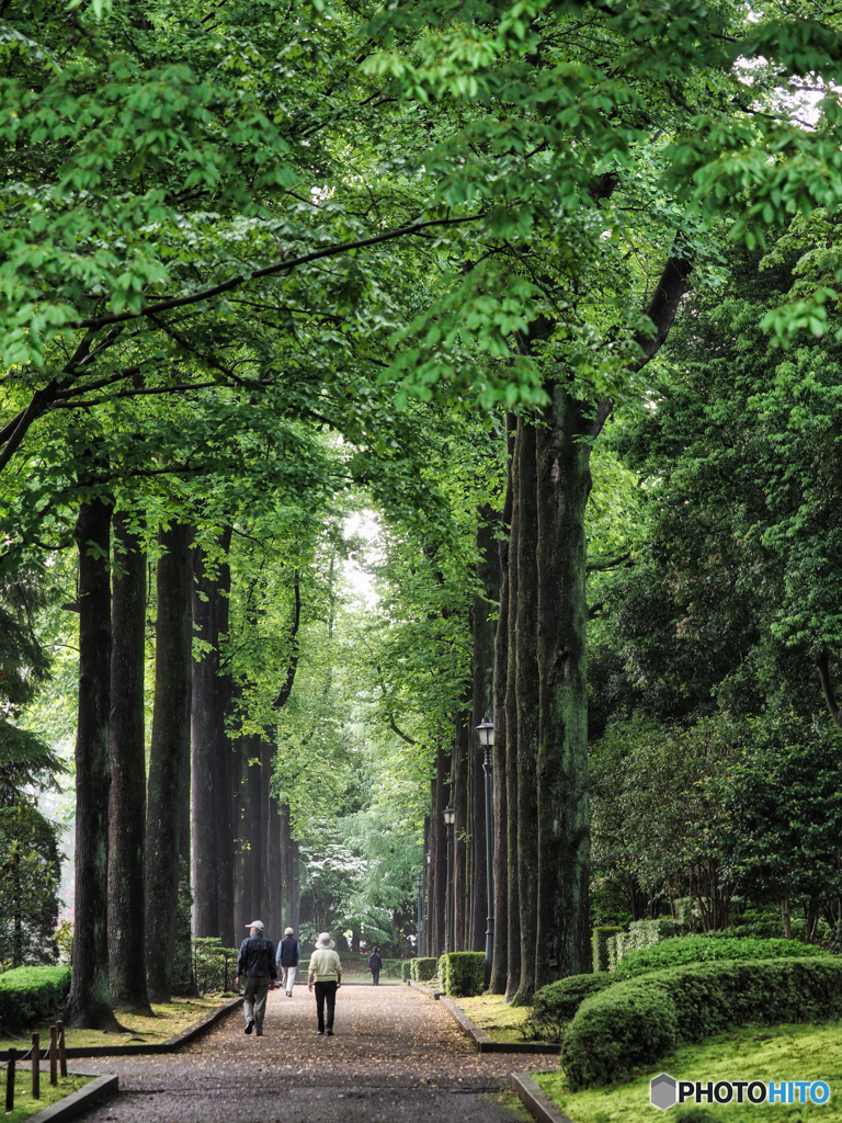 2021-05-23_近くの公園