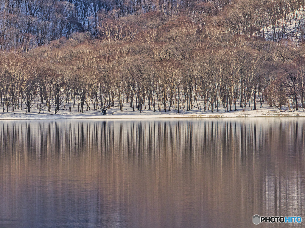 2020-12-28_中禅寺湖(4)