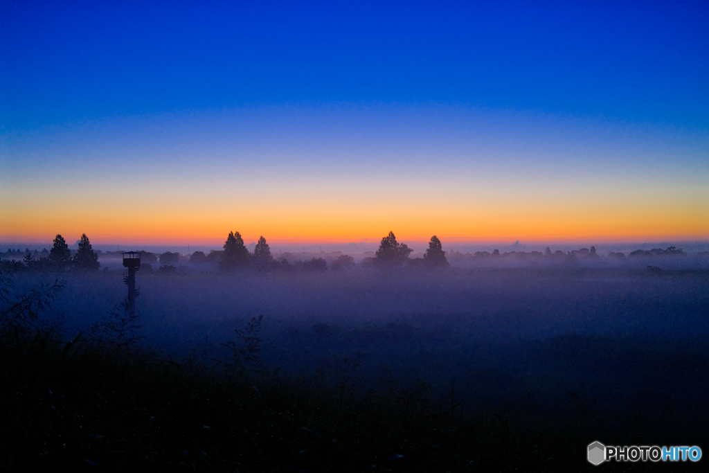 2021-07-17_渡良瀬遊水地-1