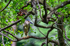 2023-08-13_栃木県 井頭公園-2