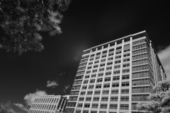 2025-02-11_栃木県庁-1