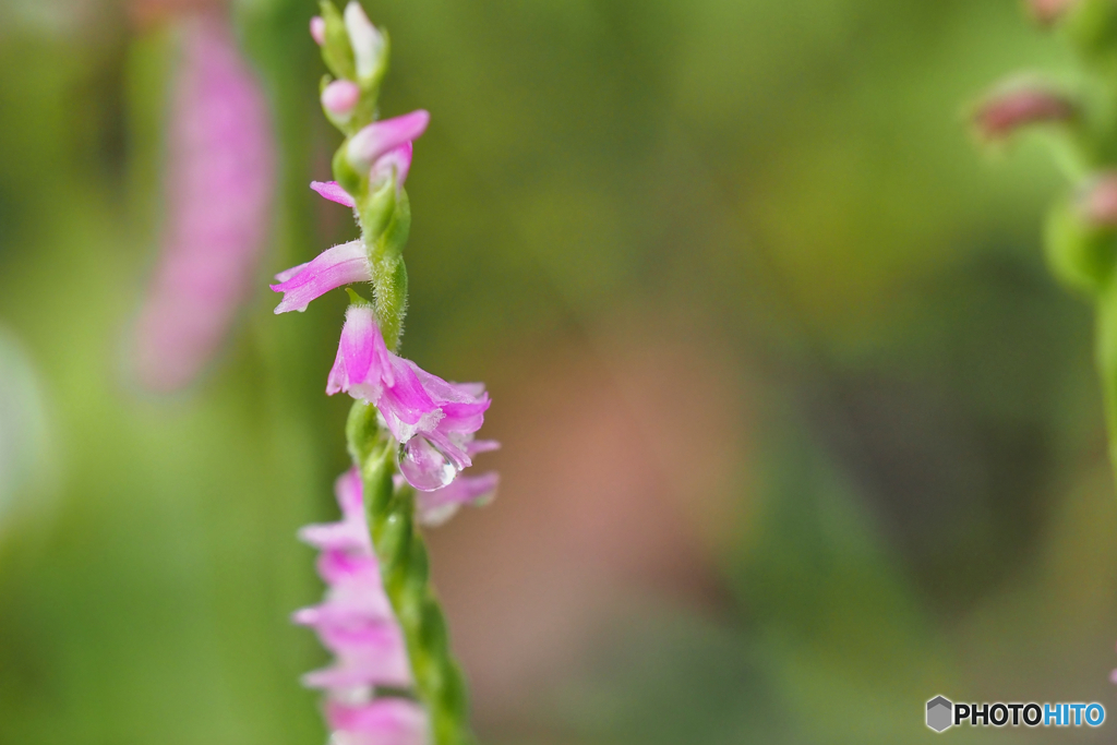 2021-07-10_鬼怒川