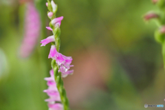 2021-07-10_鬼怒川