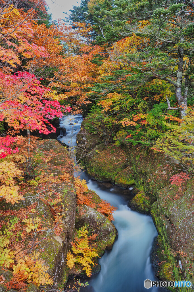 2020-10-16_龍頭ノ滝(上流)