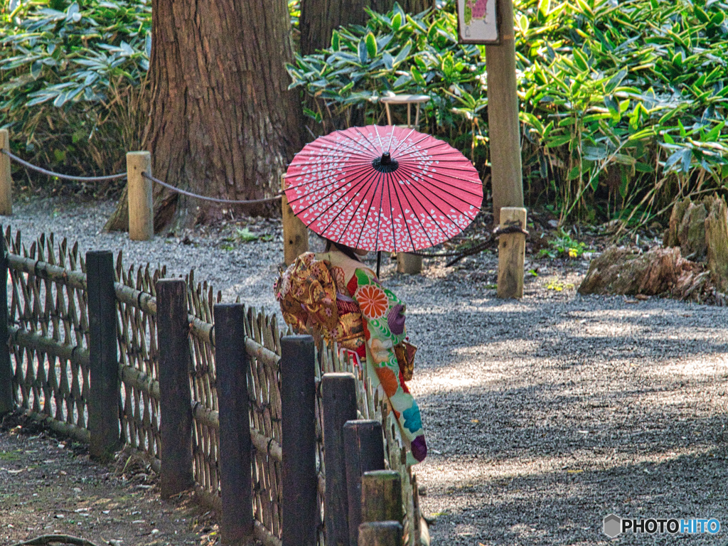 2020-11-14_偕楽園(3)