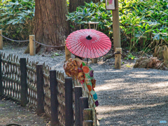 2020-11-14_偕楽園(3)