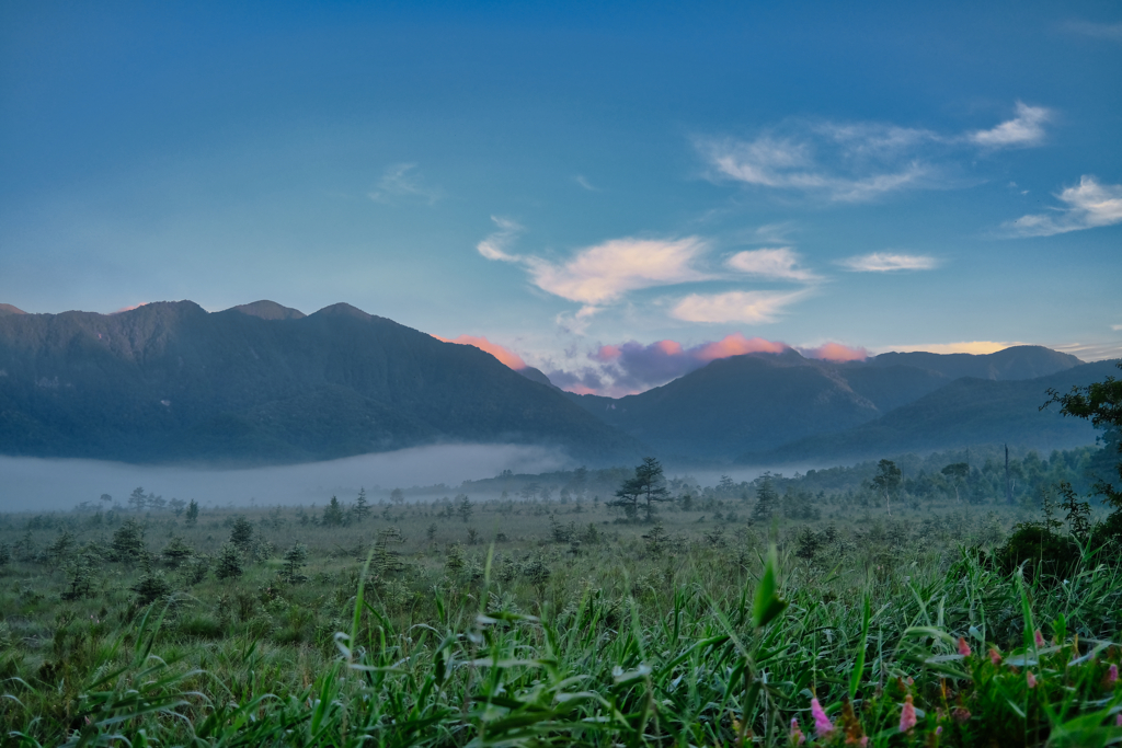 2021-08-01_戦場ヶ原-1