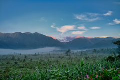 2021-08-01_戦場ヶ原-1