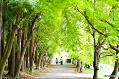 2021-04-24_散策-1