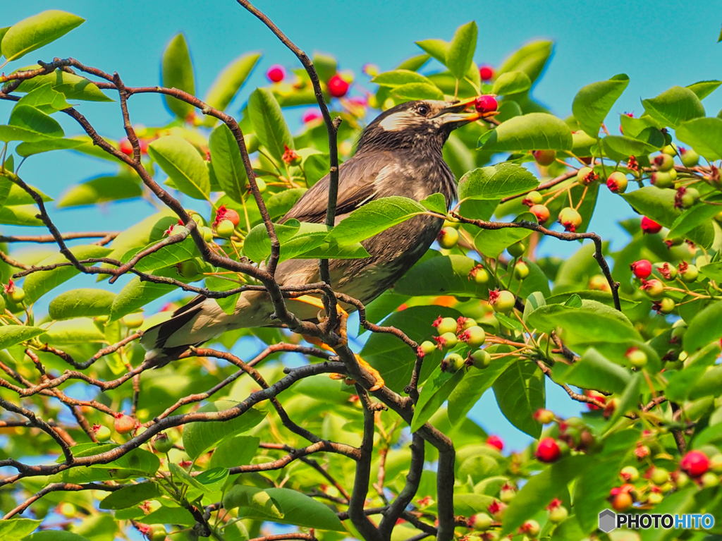 2021-05-25_公園散歩-3