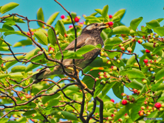 2021-05-25_公園散歩-3