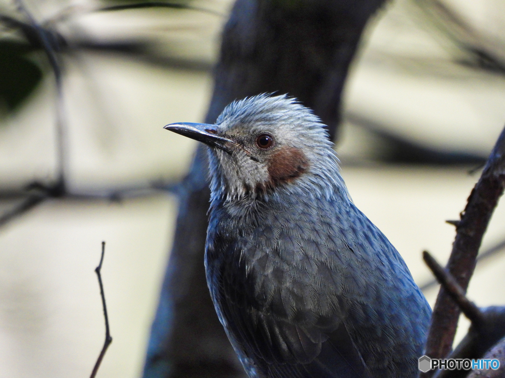 2021-11-14_栃木県井頭公園-1