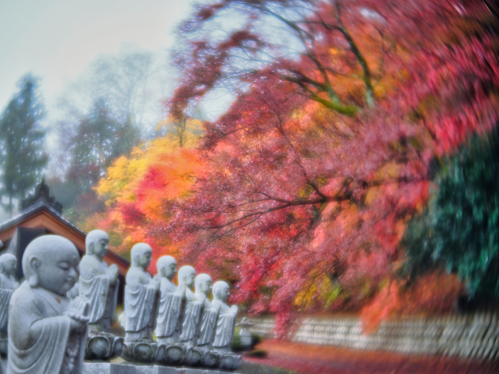 2023-11-18_永源寺(もみじ寺)-1