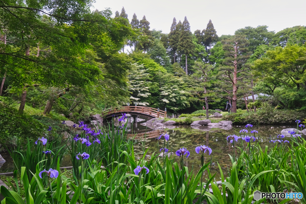2021-05-11_朝散歩-2
