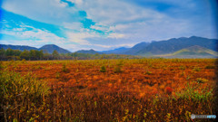 2021-10-09_戦場ヶ原