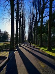 2022-04-08_栃木県中央公園-1