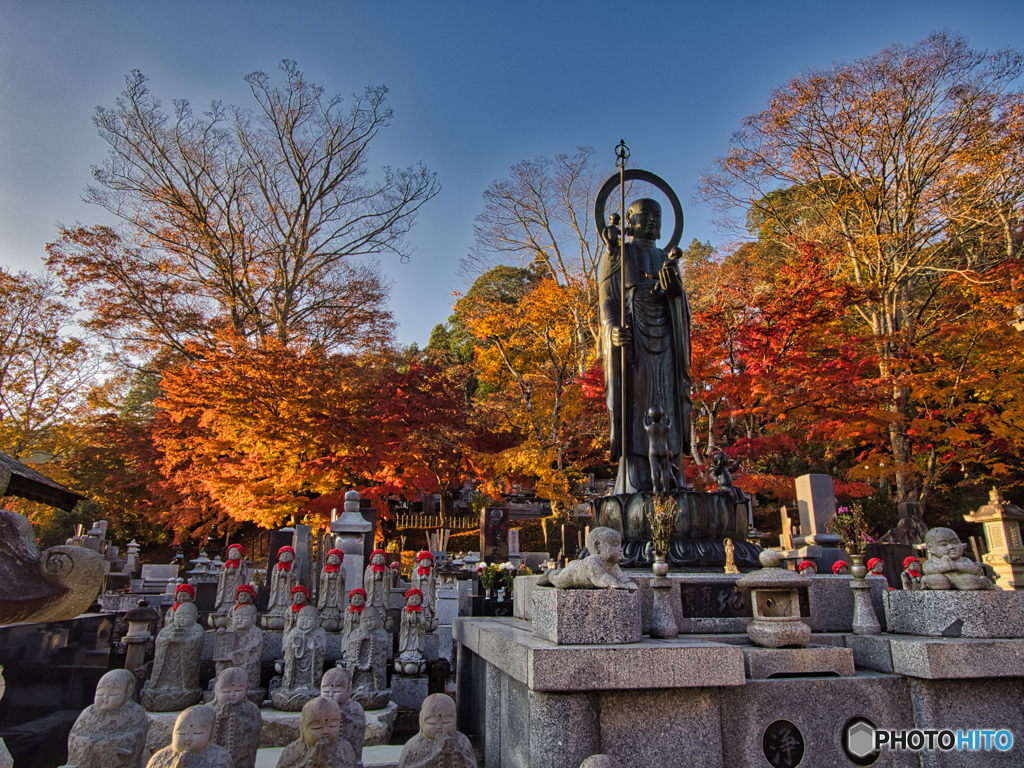 2020-11-14_永源寺もみじ寺(7)