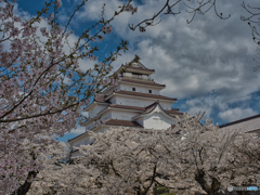 2021-04-10_鶴ヶ城(福島県)