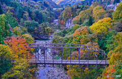 2020-10-31_白砂渓谷(1)