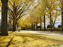 2021-11-23_明保野公園(ASTIA)