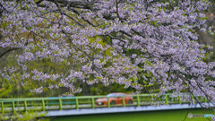 2023-04-02_栗谷沢ダム-1