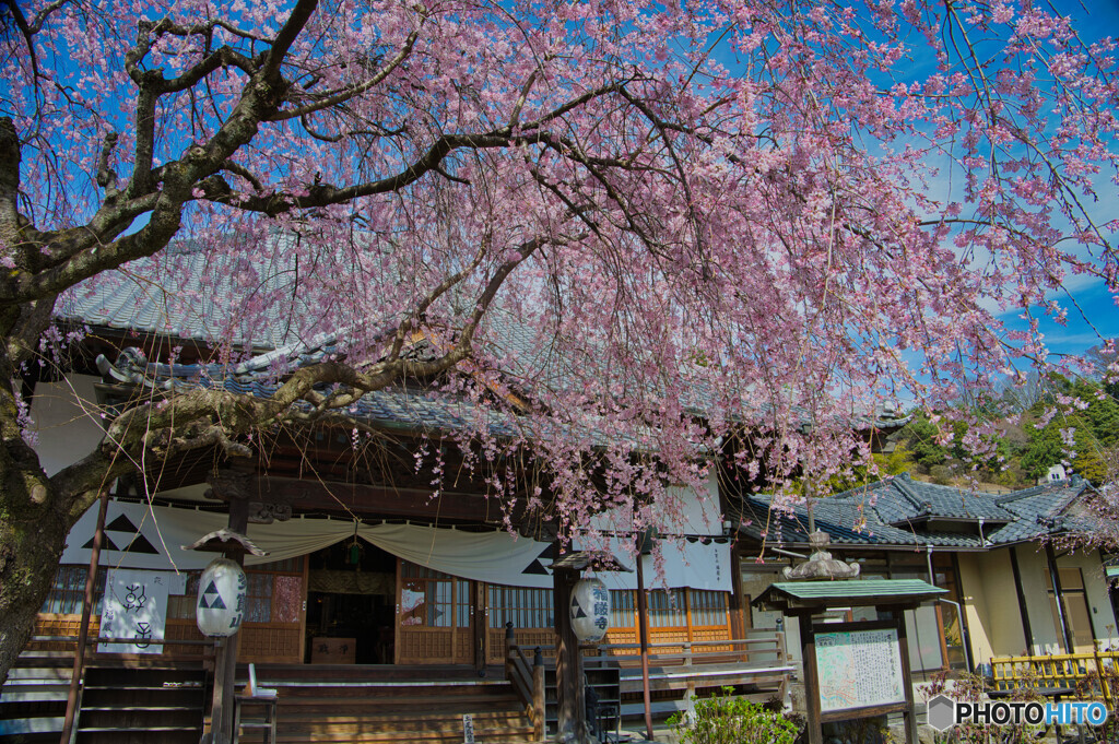 2023-03-21_福厳寺(足利市)