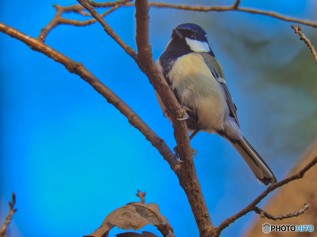 2021-12-25_栃木県 井頭公園-2