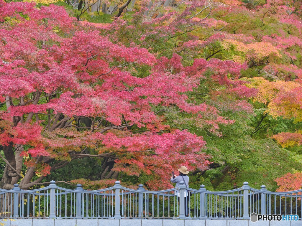 2022-11-20_栃木県中央公園-1