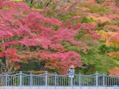 2022-11-20_栃木県中央公園-1