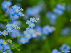 2021-06-05_日光散策-2