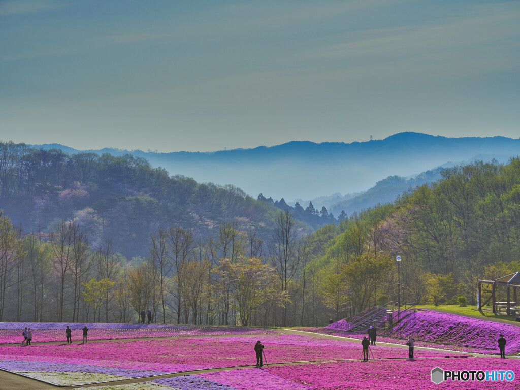 2022-04-17_市貝町芝ざくら公園-3