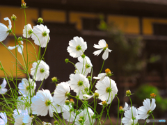 2021-09-25_大内宿-5