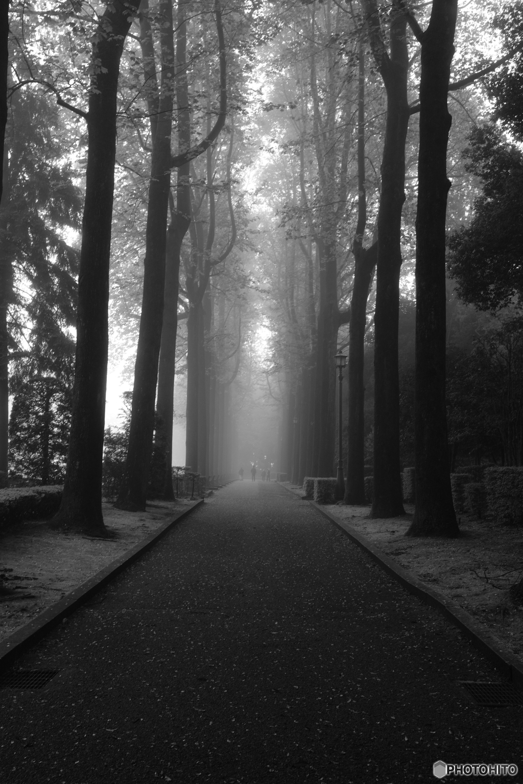 2021-04-30_朝散歩-1