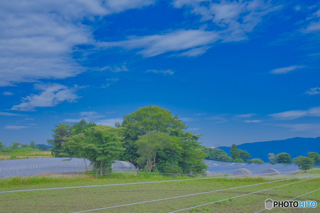 2021-07-23_大沼公園付近青空