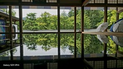 2024-07-28_宝徳寺-3(群馬県桐生市)