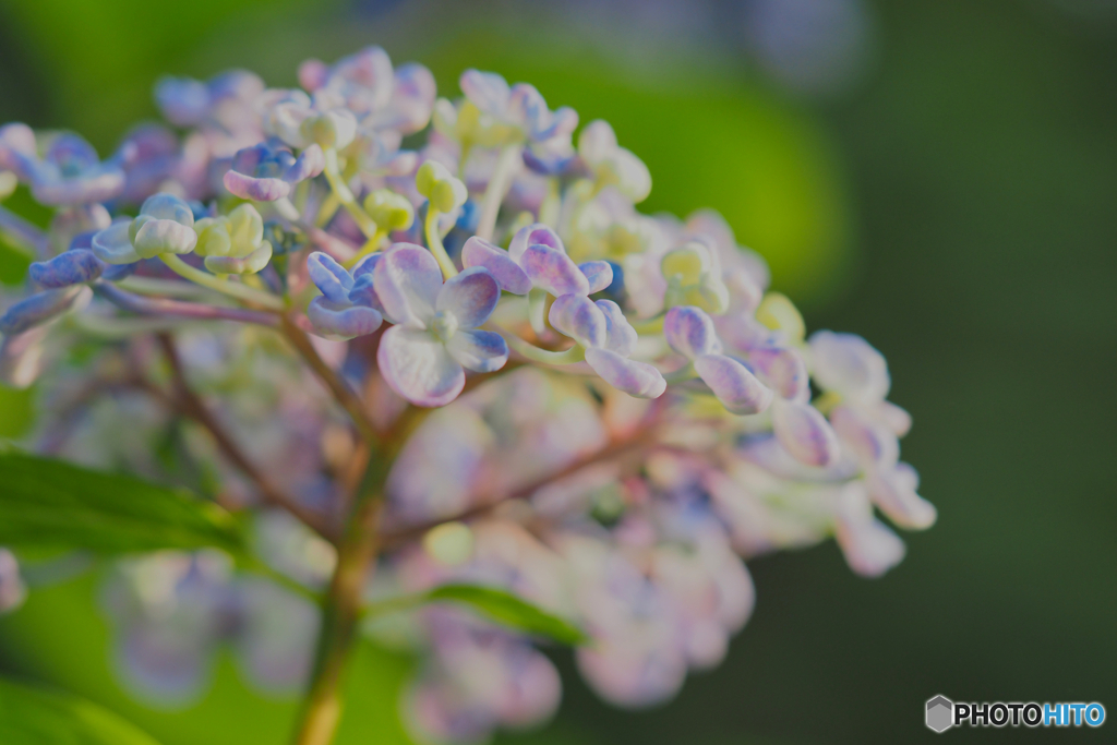 2021-06-27_磯山神社-3