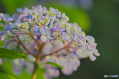 2021-06-27_磯山神社-3