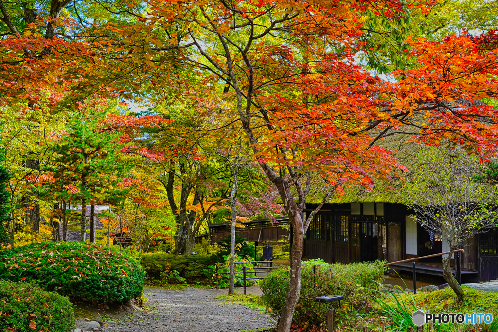 2020-10-25_平家の里(5)
