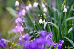 2021-03-29_散策(2)