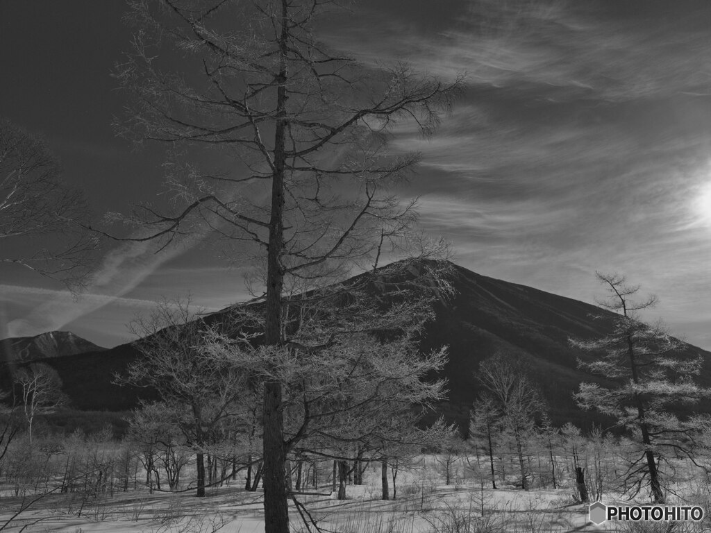 2022-02-13_戦場ヶ原-1