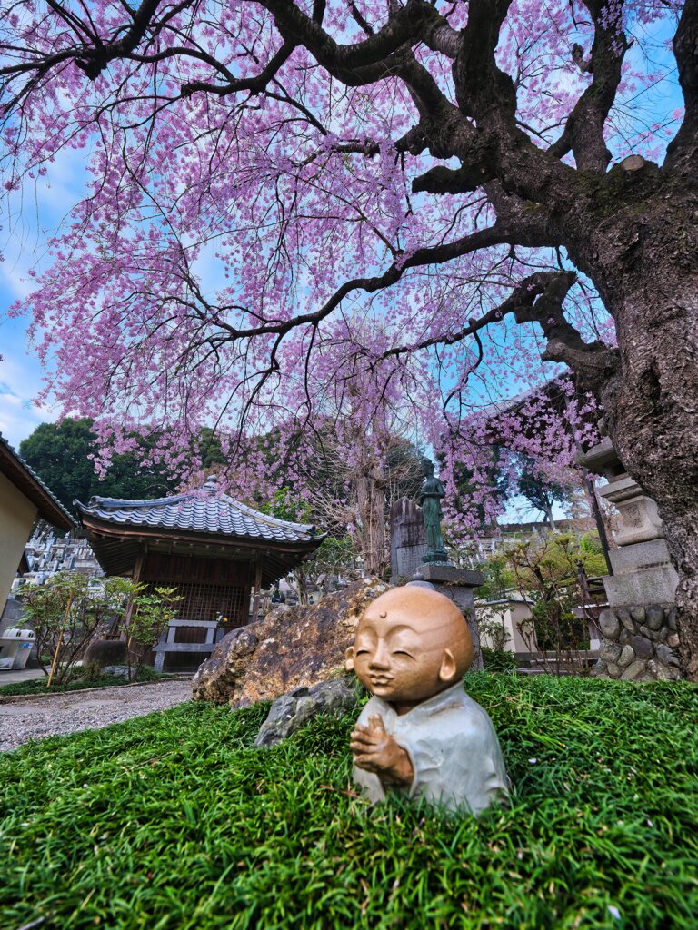 2024-04-07_福厳禅寺-1