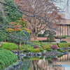 2020-11-16_栃木県中央公園(3)