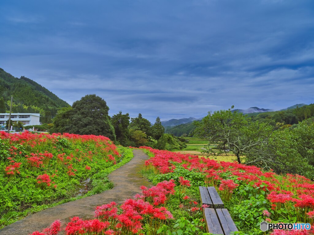 2022-09-24_蓑沢彼岸花公園-4