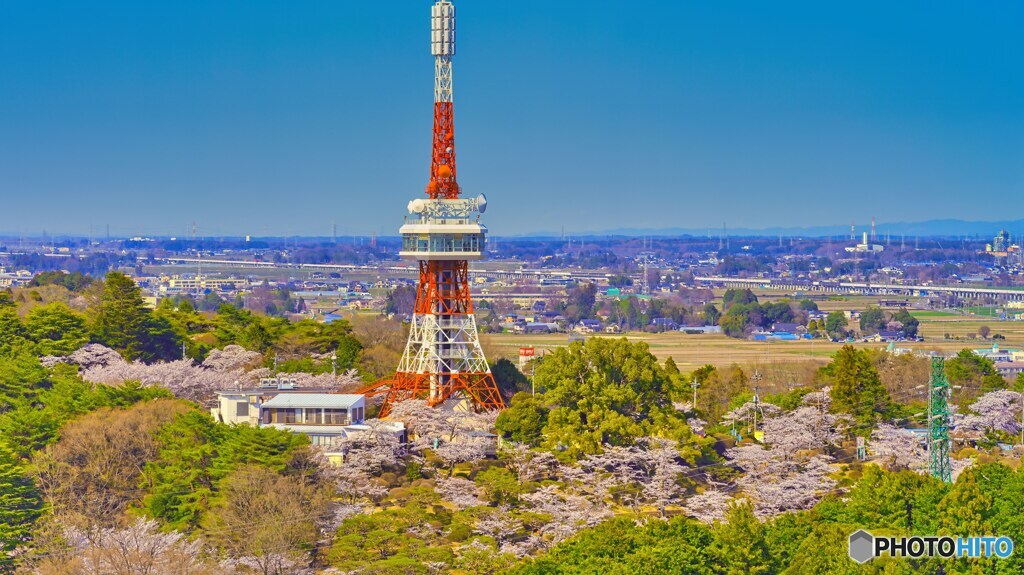 2022-04-08_八幡山公園(栃木県庁展望台より)