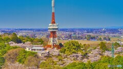 2022-04-08_八幡山公園(栃木県庁展望台より)