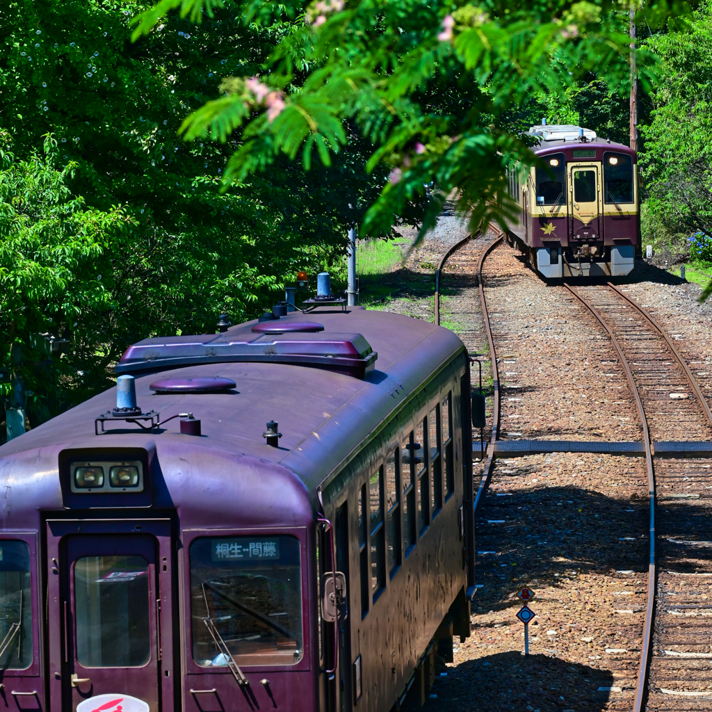 2023-07-02_神戸駅-3(わたらせ渓谷鐡道)