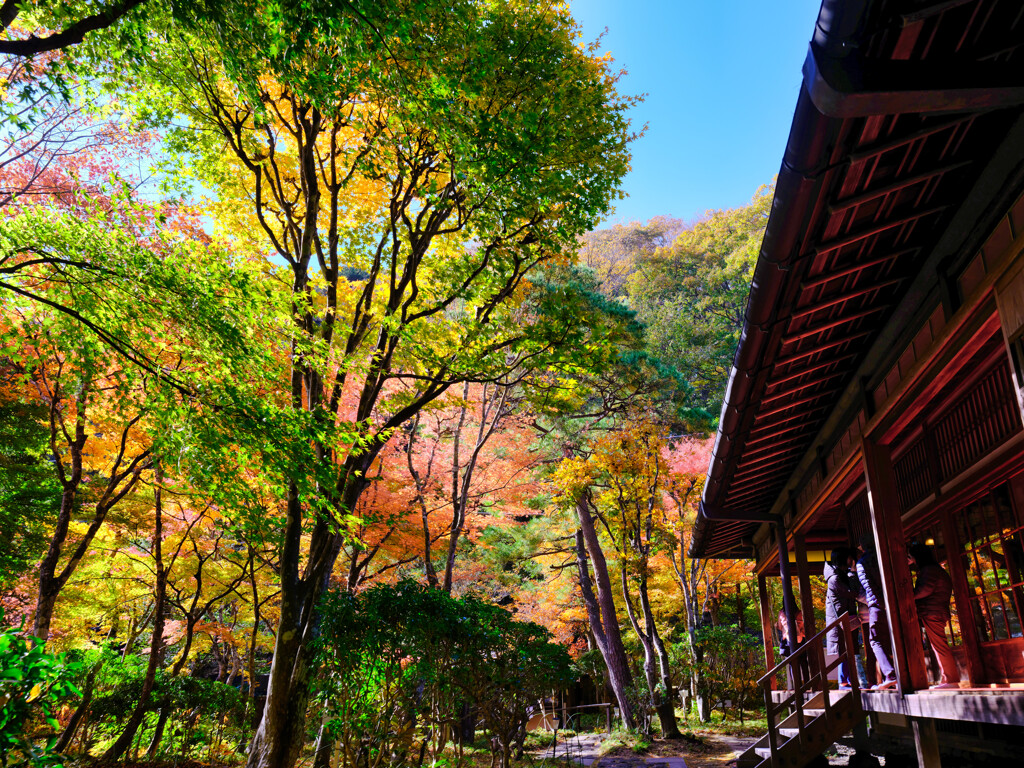 2025-11-08_天皇の間記念公園-1