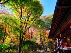 2025-11-08_天皇の間記念公園-1