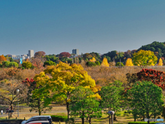 2020-11-14_偕楽園(2) (1)